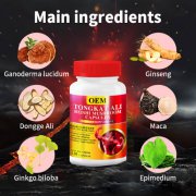 ţ���������򵰰� ���������ɷ���ǿ������OEM